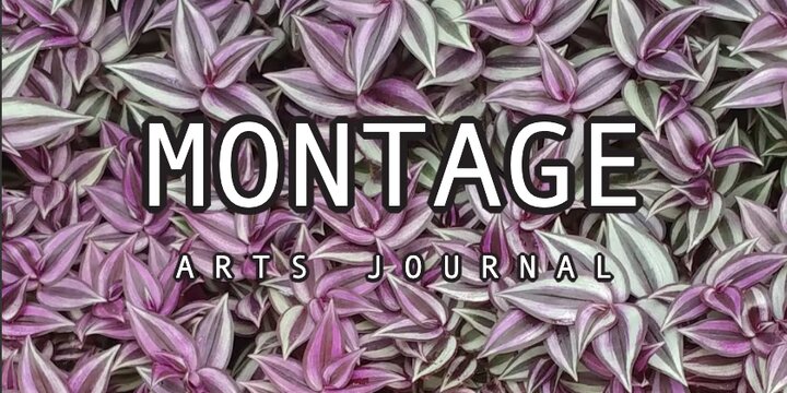 Montage cover of issue 13 