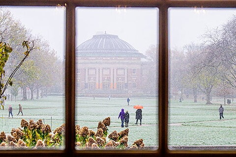 image of the Quad viewed from Illini Union