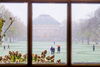 image of the Quad viewed from Illini Union